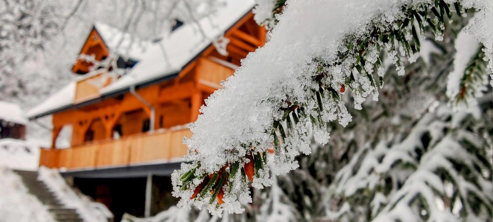 Villa Dom Pod Leśniczówką Zachelmie  Exterior foto